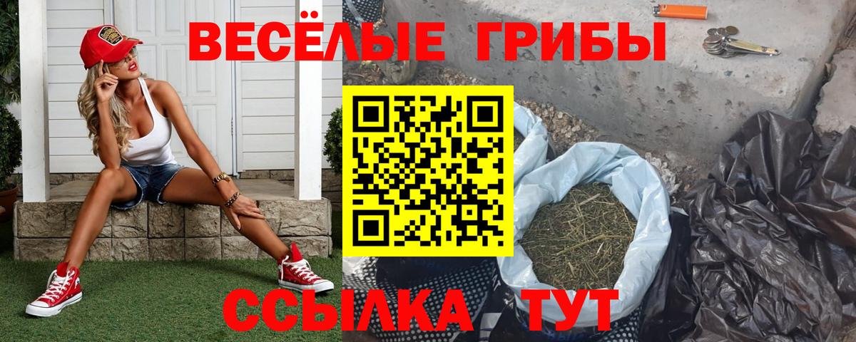 Псилоцибиновые грибы MAGIC MUSHROOMS  Галлюциногенные грибы Psilocybine cubensis  Артёмовский  Вход с VPN 